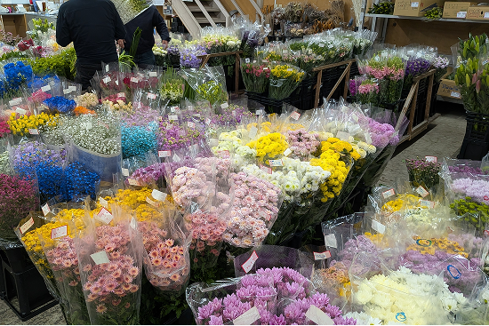 買参人（生花店様・関連業者様）の方へ